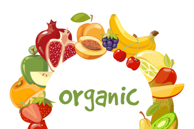 Vector organic fruits frame isolated