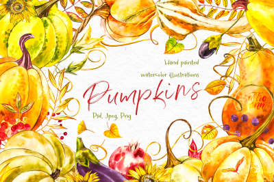 Pumpkins. Watercolor collection