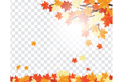 Maple leaves on transparency grid