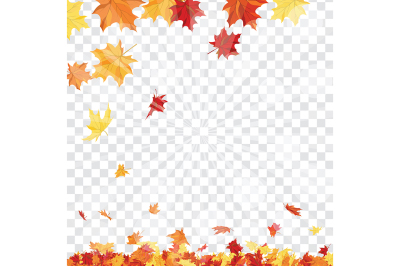 Maple leaves on transparency grid