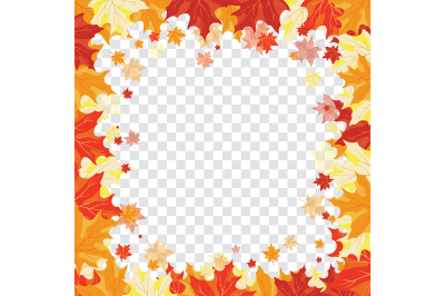 Maple leaves on transparency grid