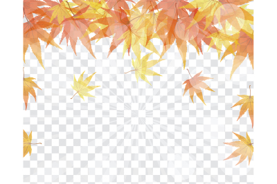 Maple leaves on transparency grid