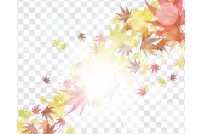 Maple leaves on transparency grid