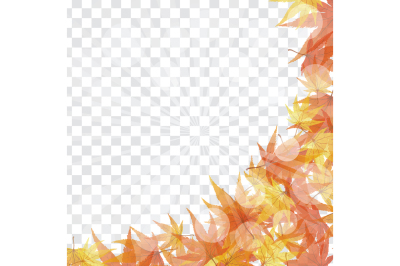 Maple leaves on transparency grid