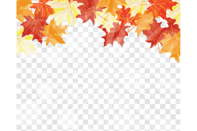 Maple leaves on transparency grid