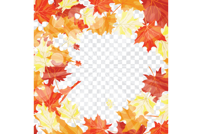 Maple leaves on transparency grid