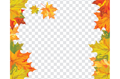 Maple leaves on transparency grid