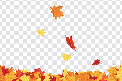 Maple leaves on transparency grid