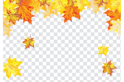 Maple leaves on transparency grid