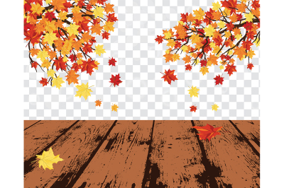 Maple leaves on transparency grid