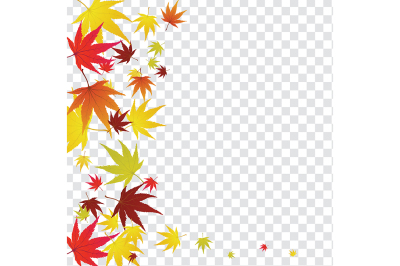 Maple leaves on transparency grid