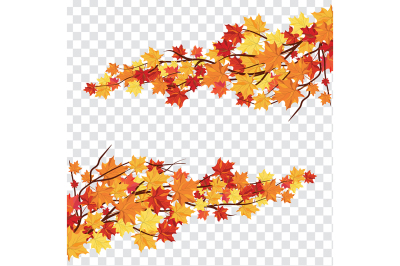 Maple leaves on transparency grid