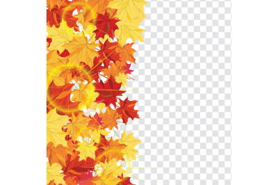 Maple leaves on transparency grid