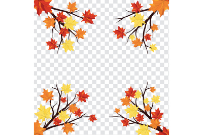 Maple leaves on transparency grid