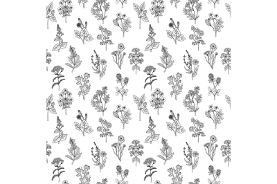 Seamless pattern of various hand drawn herbs and flowers