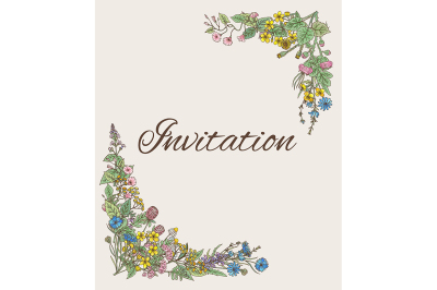 Template for invitation. Card with decoration from hand drawn herbs