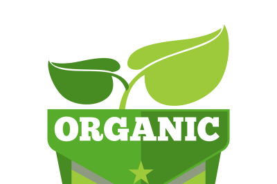 Organic natural eco label with leaves