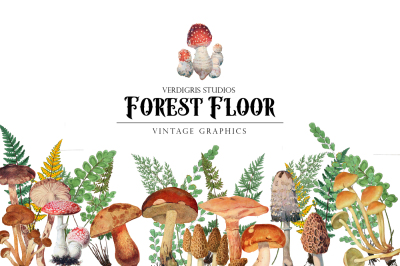 Watercolor Mushroom and Fern Clipart