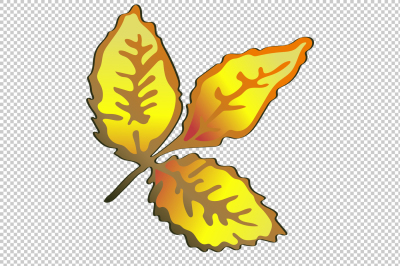 Vector autumn yellow rose hip plant PNG set