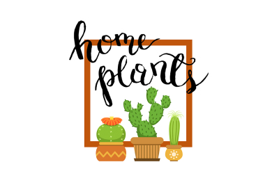 Banner with home green plant cactus