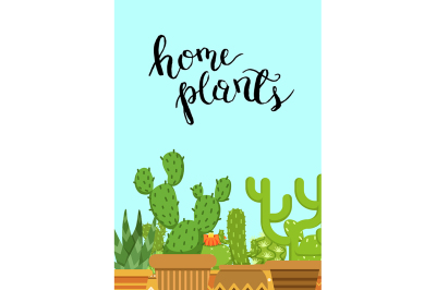 Vector illustration with cacti in pots in flat style 