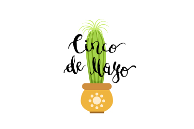 Vector illustration with cactus in pot and cinco de mayo