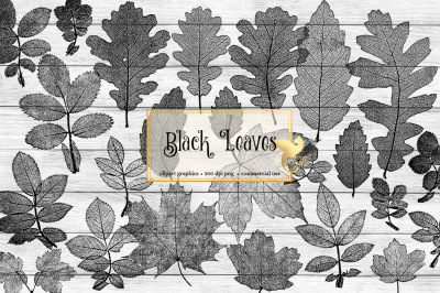 Black Leaf Clipart