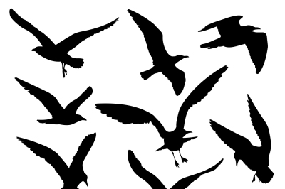 Flying birds black silhouettes vector set