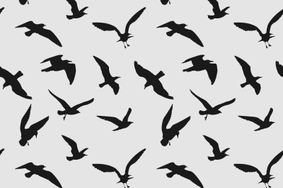 Vector seamless pattern with flying birds