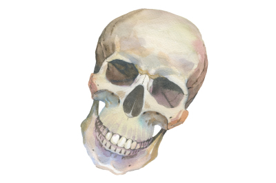 One skull PNG watercolor set