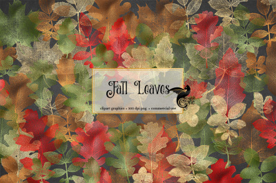 Fall Leaves Clipart