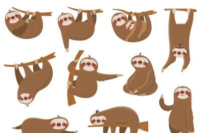 Cute cartoon sloths. Adorable rainforest animals, mother and baby on b