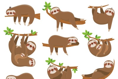 Cartoon sloths family. Adorable sloth animal at jungle rainforest. Fun