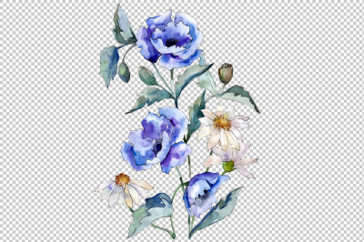 Bouquet with blue poppies and daisies PNG set