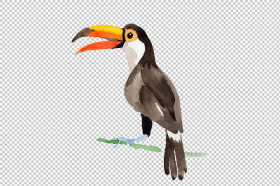 Tropical bird toucan PNG watercolor set