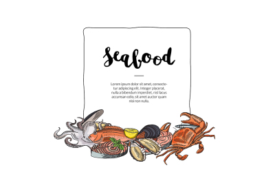 Vector hand drawn seafood elements