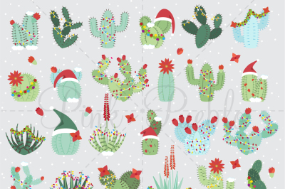 Christmas Cactus Clipart & Vectors