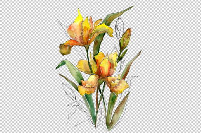 Bouquet of yellow irises PNG watercolor set