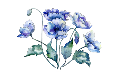 Bouquet of blue poppies PNG watercolor set