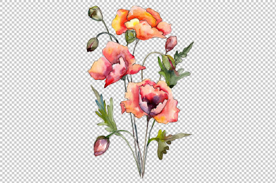 Bouquet of red poppies PNG watercolor set