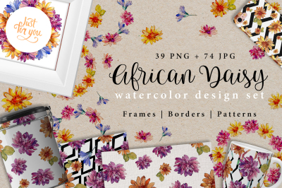 African daisy PNG watercolor design set