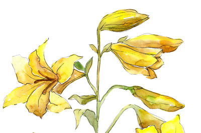 Bouquet of yellow lilies PNG watercolor flower set