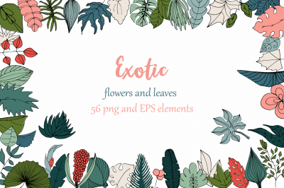 Exotic and Tropical leaves