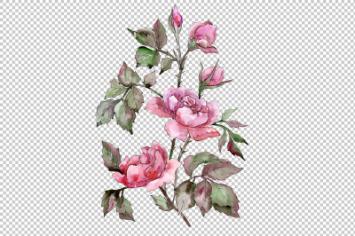 Elegant bouquet of pink rose PNG watercolor set