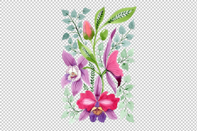 Floral Ornament of Orchid Flowers PNG set