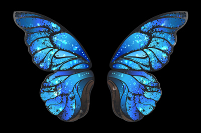 Blue Butterfly Wings