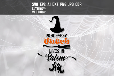 Not Every Witch Lives in Salem - svg, eps, ai, dxf, png, jpg