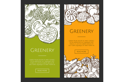 Vector doodle sketched fresh fruits and vegetables flyers, banners set