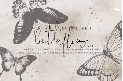 VintageVectorized - Butterflies Clipart