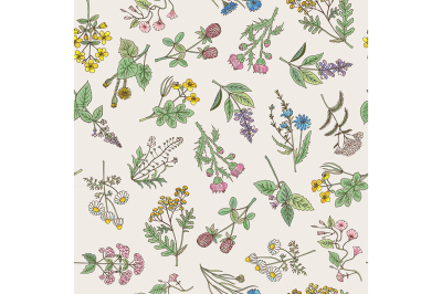 Seamless pattern of various hand drawn herbs and flowers
